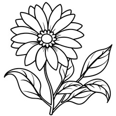 Daisy flower outline coloring book page line art drawing vector illustration for children and adults