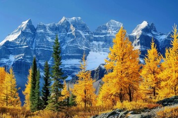 a mountain range with yellow trees and snow covered mountains