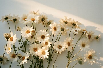 Depicting a  bunch of white daisies arranged against a white wall