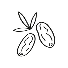 Dates dry fruits logo hand drawn ink sketch on isolated background. Vector illustration with edible date palm fruits, leaves. Oriental sweets healthy food. For print, label, template, sign, card