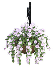 Colorful trailing petunia flowers in a hanging basket. Image 13 of a selection of PNG 3D, illustrations 