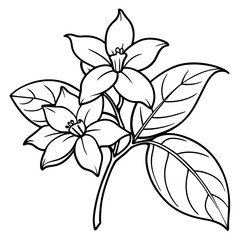 Jasmine flower outline coloring book page line art drawing vector illustration for children and adults