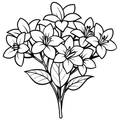 Jasmine flower outline coloring book page line art drawing vector illustration for children and adults