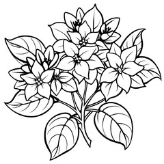 Jasmine flower outline coloring book page line art drawing vector illustration for children and adults