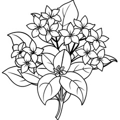 Jasmine flower outline coloring book page line art drawing vector illustration for children and adults
