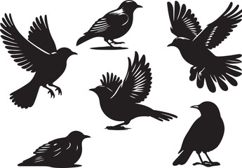 Obraz premium birds set vector black and white , white background