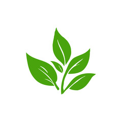 green leaf  vector icons, leaf logo design