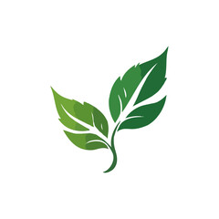 green leaf  vector icons, leaf logo design