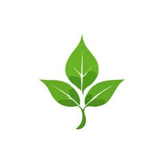 green leaf  vector icons, leaf logo design