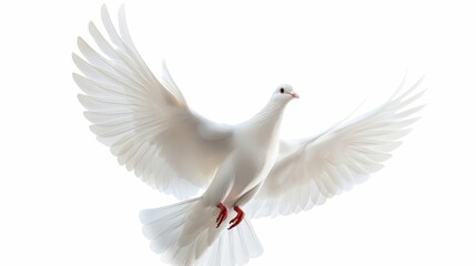 Obraz premium divine messenger flying white dove symbolizing the holy spirit isolated on white digital illustration