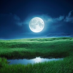 Fototapeta premium Wonderful night landscape. Moonlight over beautiful meadow