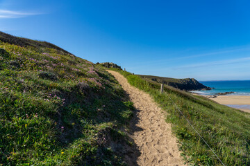 Le sentier côtier est bordé d'Arméries maritimes au printemps, surplombant les falaises. En contrebas, une plage de sable s'étend, faisant face à la mer d'Iroise sur la presqu'île de Crozon.