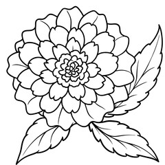 Marigold flower outline coloring book page line art drawing vector illustration for children and adults