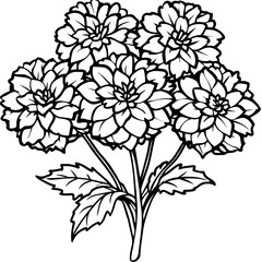 Marigold flower outline coloring book page line art drawing vector illustration for children and adults