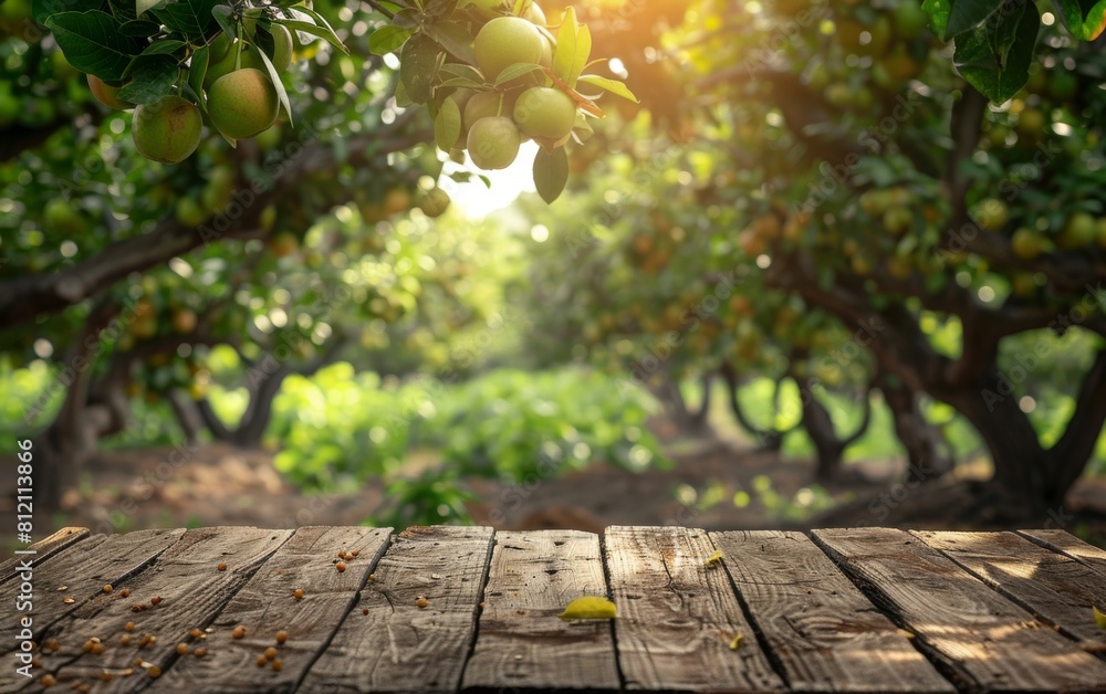 Poster a wooden table with a view of a fruit orchard. the table is empty and the view is of a large orchard