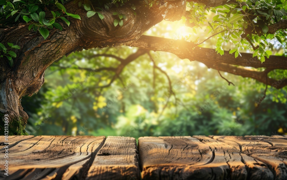 Poster a tree with a branch that is in the sun. the tree is surrounded by green leaves and the sunlight is 