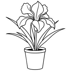 Iris flower outline coloring book page line art drawing vector illustration for children and adults