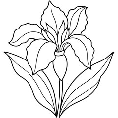 Iris flower outline coloring book page line art drawing vector illustration for children and adults