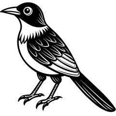 Fototapeta premium cute-hand-drawn-animal--grackle--cartoon-vector