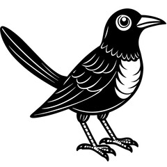 cute-hand-drawn-animal--grackle--cartoon-vector