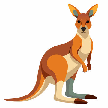 kangaroo vector design 