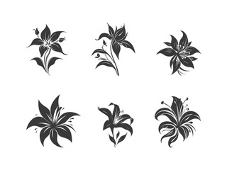  Beautiful black flowers. Vector illustration. stylized  icon.	