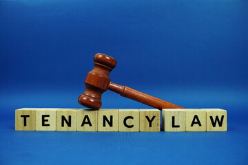 Tenancy Law alphabet letters with wooden blocks alphabet letters and Gavel on blue background