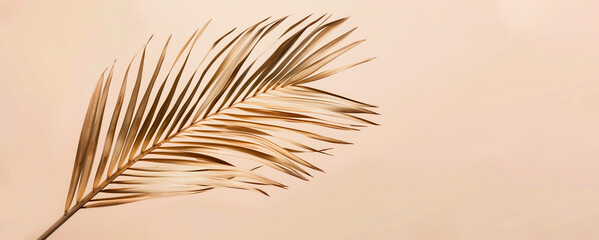 Tropical dry golden leaves, an illustration with an empty space to copy.