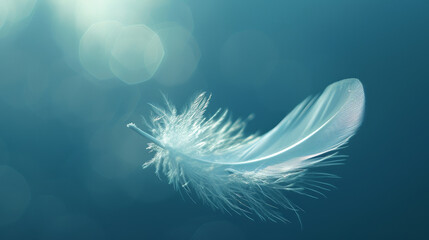 A delicate feather drifts weightlessly against a soft blue background with a bokeh effect, creating a serene image.