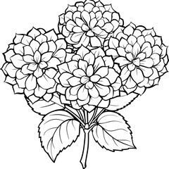 Hydrangea flower outline coloring book page line art drawing vector illustration for children and adults