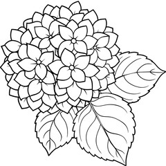Hydrangea flower outline coloring book page line art drawing vector illustration for children and adults