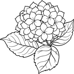 Hydrangea flower outline coloring book page line art drawing vector illustration for children and adults
