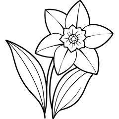 Daffodil flower outline coloring book page line art drawing vector illustration for children and adults