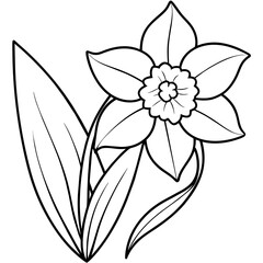 Daffodil flower outline coloring book page line art drawing vector illustration for children and adults