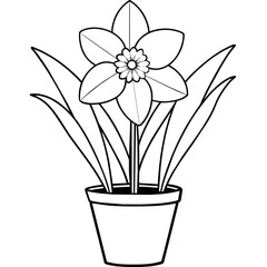 Daffodil flower outline coloring book page line art drawing vector illustration for children and adults