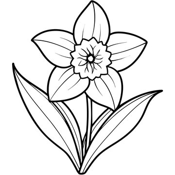 recommend clip art: Daffodil flower outline coloring book page line art drawing vector illustration for children and adults