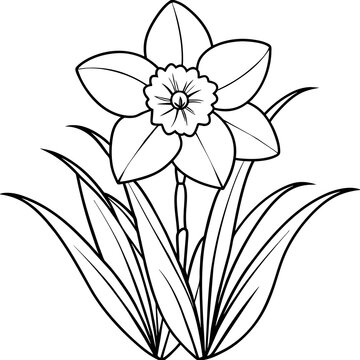 recommend clip art: Daffodil flower outline coloring book page line art drawing vector illustration for children and adults