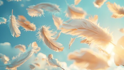 White feathers floating in a blue sky with a soft focus.