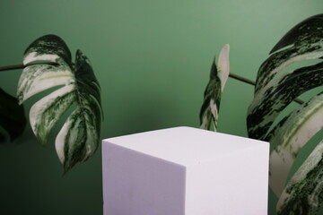 White podium display scene stage showcase front view with copy space and monstera leaves decoration on green background