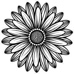 beautiful-daisy-doodles-flowers 