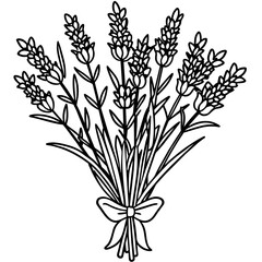 Lavender flower outline coloring book page line art drawing vector illustration for children and adults