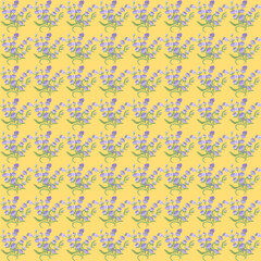 A sprig of lavender. Purple flower. Seamless pattern. Vector illustration.