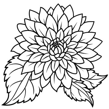 recommend clip art: Chrysanthemum flower outline coloring book page line art drawing vector illustration for children and adults