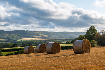 Straw bales on a hillside in Sussex, with the South Downs hills behind