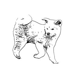 sketch of a dog with a transparent background