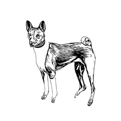 sketch of a dog with a transparent background