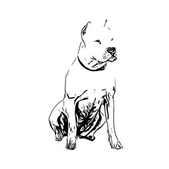sketch of a dog with a transparent background
