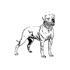 sketch of a dog with a transparent background