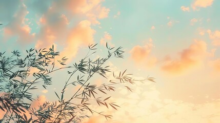 Obraz premium bamboo tree with sparse leaves against beautiful sky background minimalist nature illustration