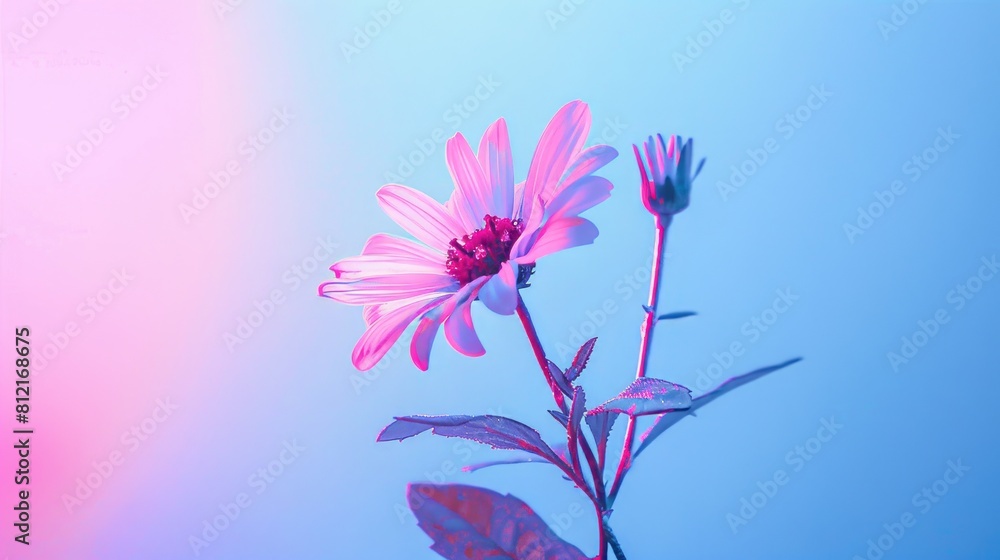 Wall mural flower on a light background.